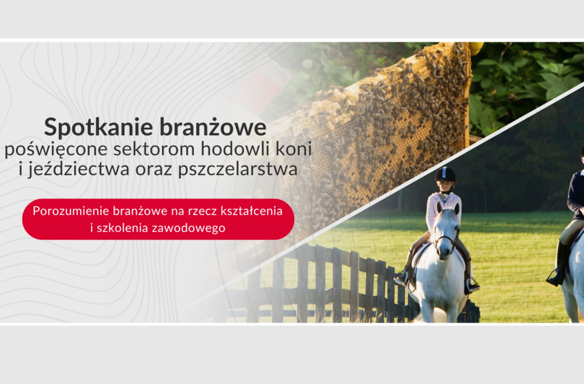 spotkanie branżowe w sektorze jeździectwa, pszczelarstwa