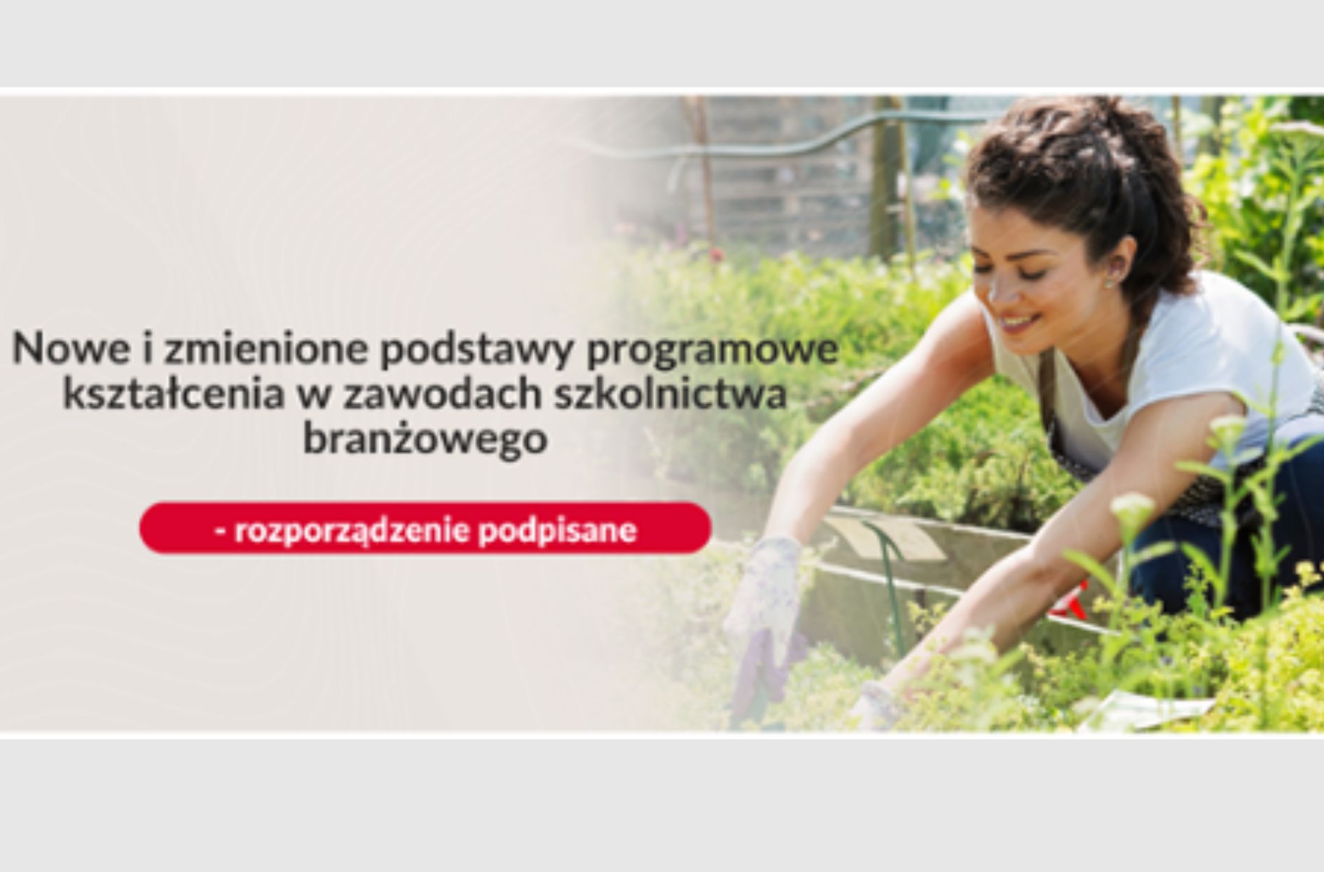 baner - dziewczyna plewiąca w ogrodzie